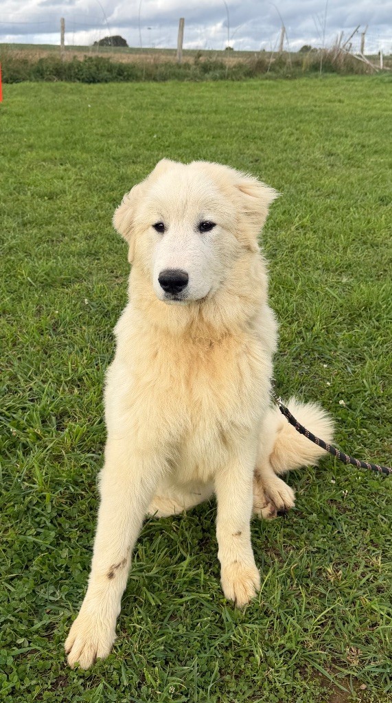 Publication : Du Hameau Des Nours 