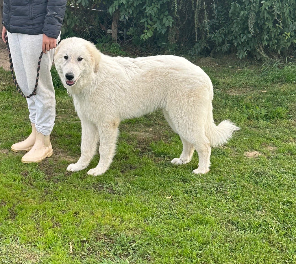 Publication : Du Hameau Des Nours 