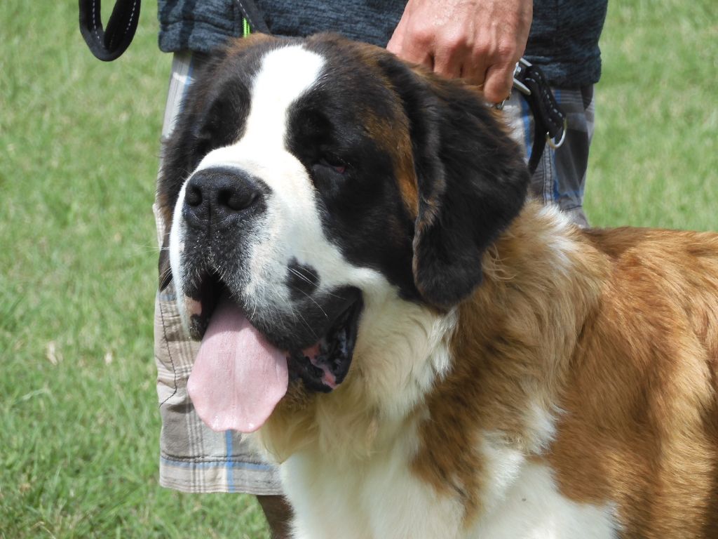 Publication : de l'ange aux papillons 