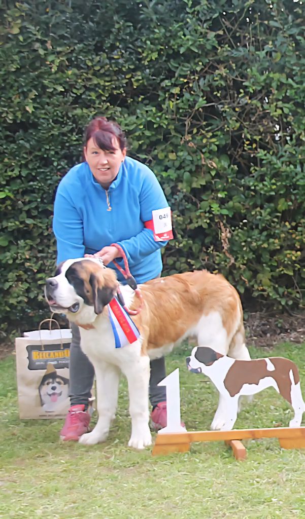 Publication : de l'ange aux papillons