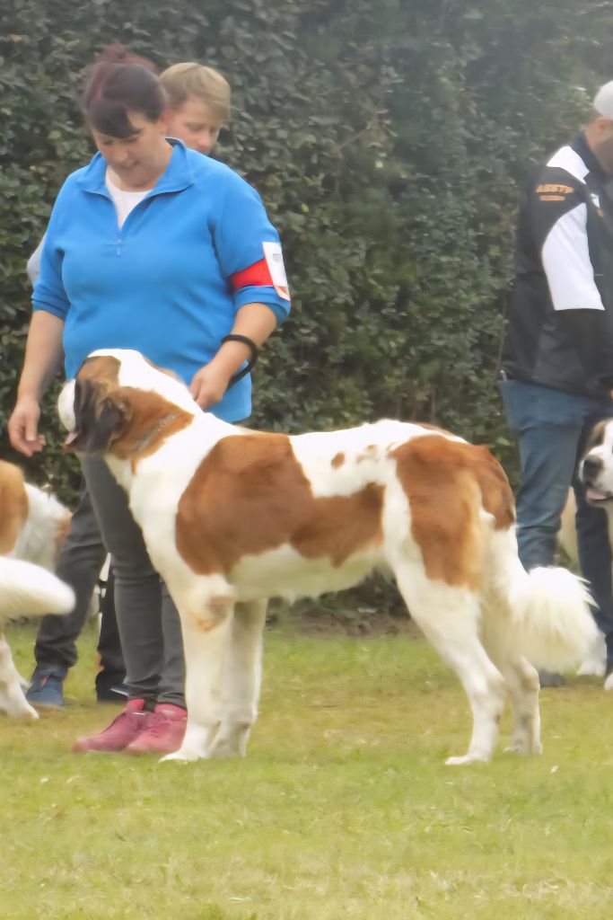 Publication : de l'ange aux papillons 