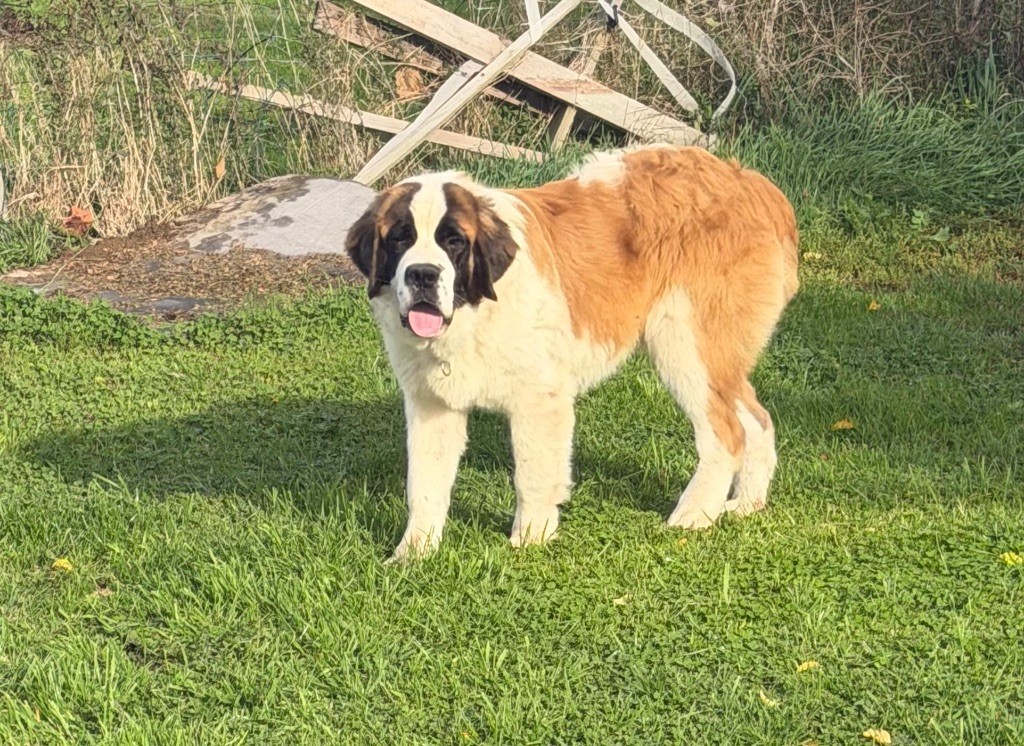 Publication : Du Hameau Des Nours 