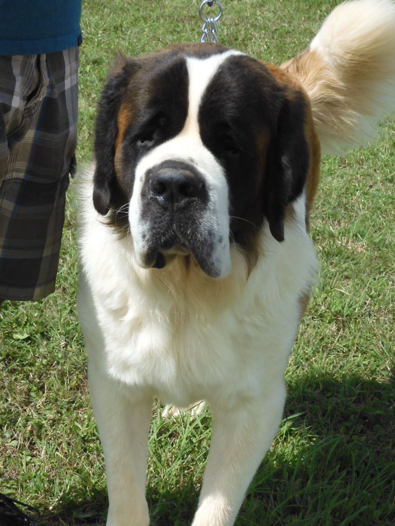 Publication : de l'ange aux papillons