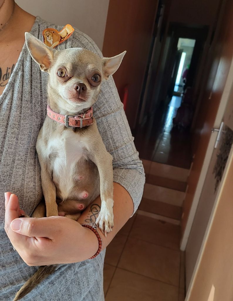 Publication : (Sans Affixe) Auteur : Niquet kelly 