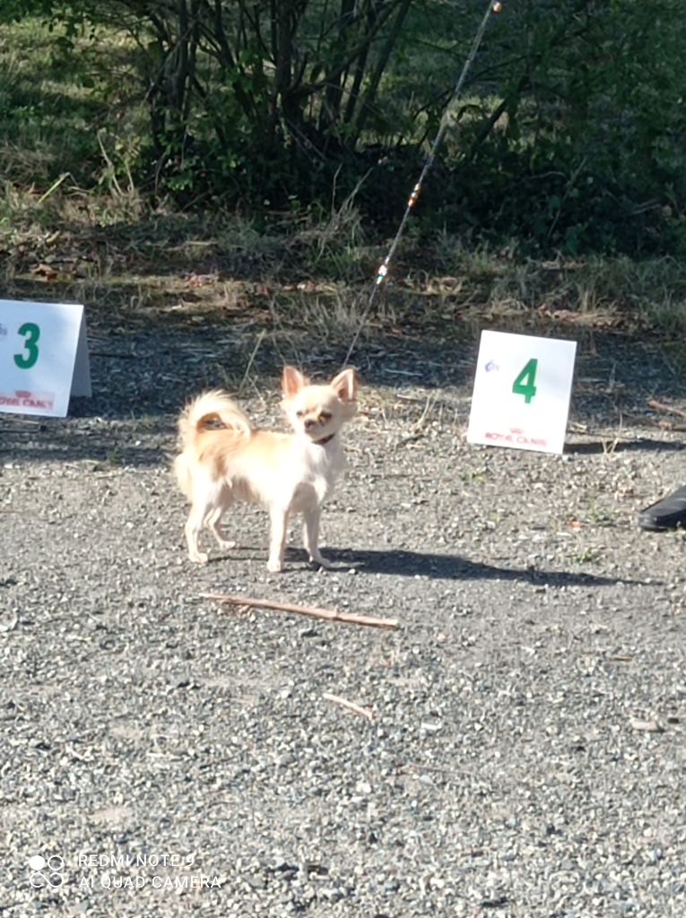 Publication : du royaume de Casabelle Auteur : jeanmarc BOUIN