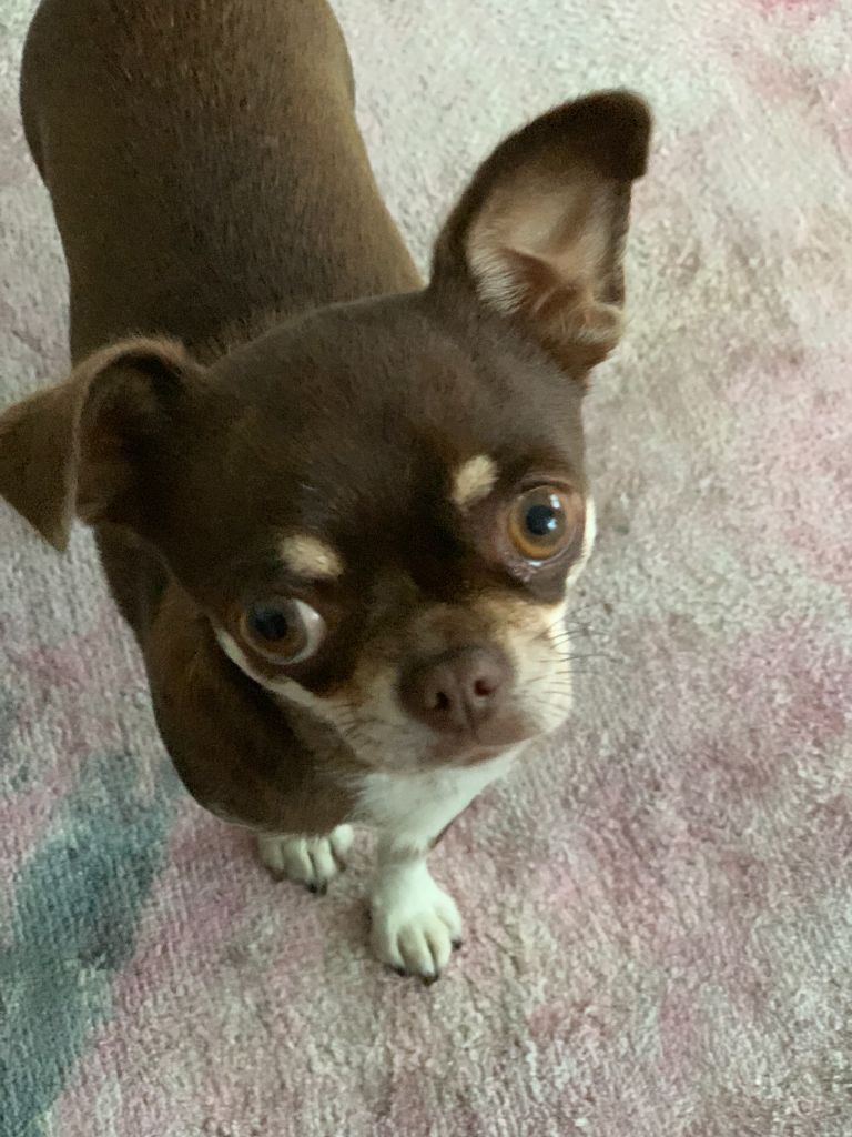 Publication : Du Parc Bordelais 