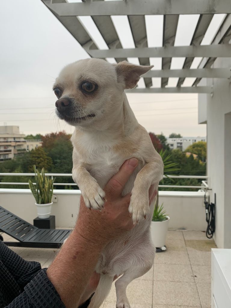 Publication : Du Parc Bordelais 