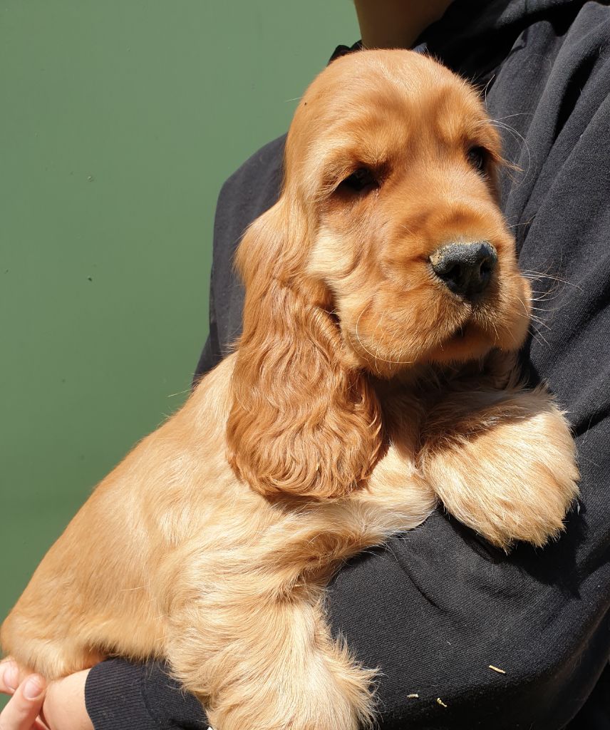 Publication : du domaine de Std Gladyce 