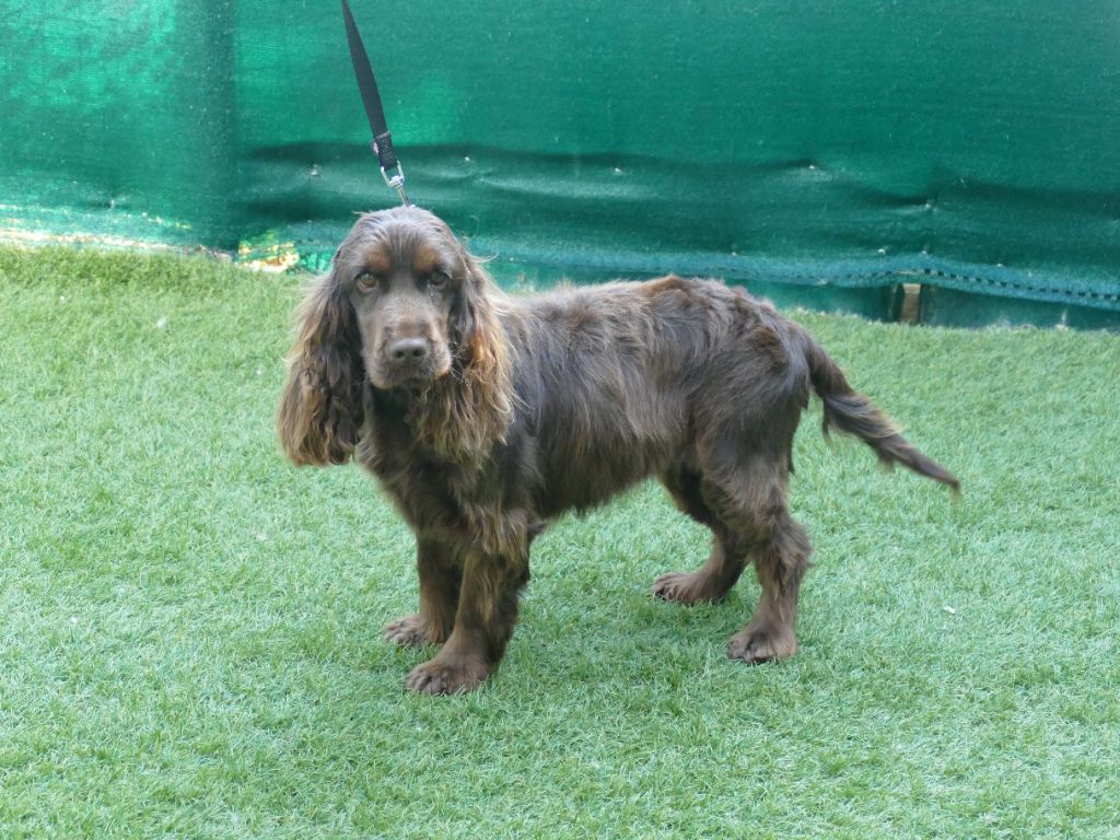 Publication : Du Temps Des Amazones Auteur : CLOE RIBOT