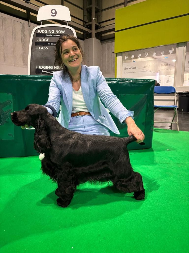 Publication : de la terre d'Opale 