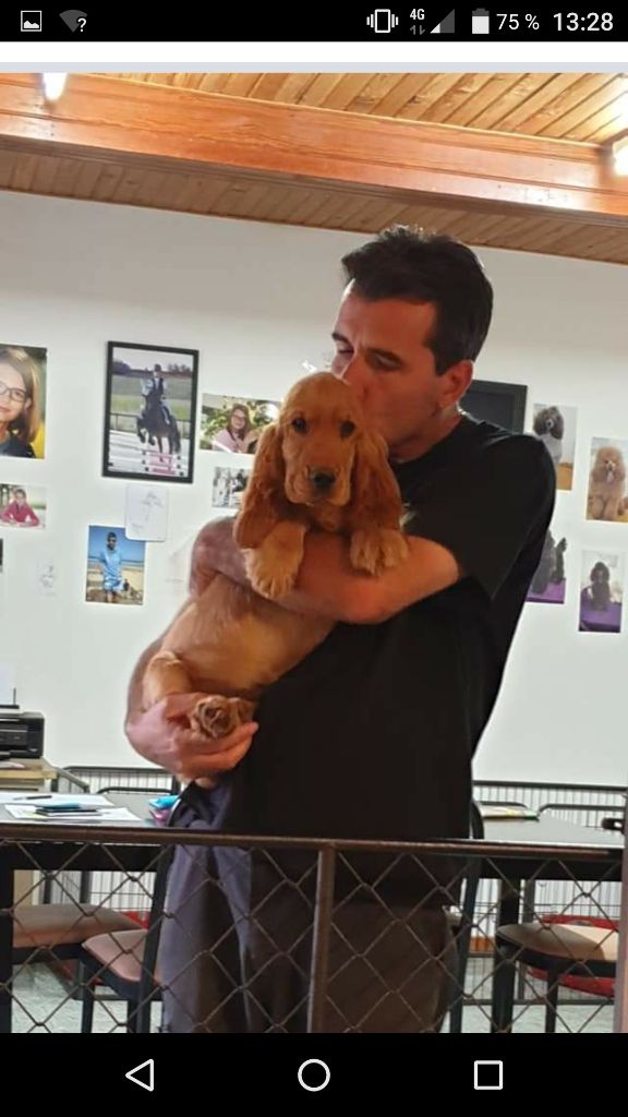 Publication : du domaine de Std Gladyce 