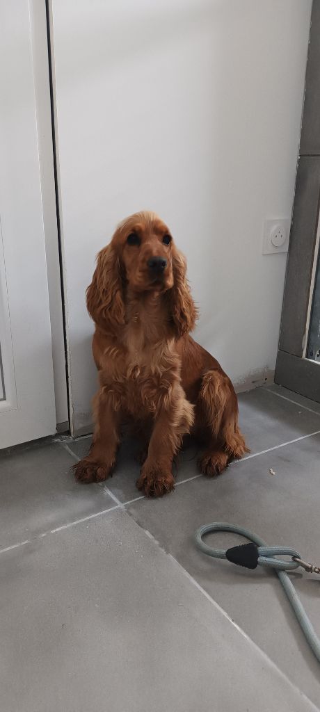 Publication : (Sans Affixe) 