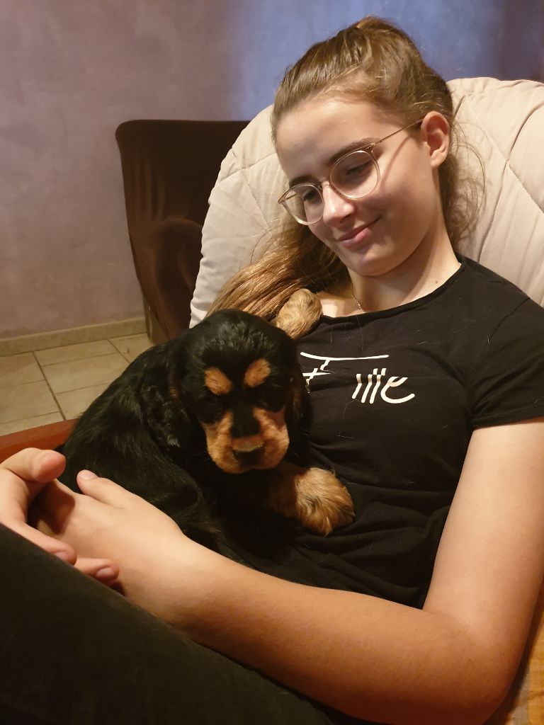 Publication : du domaine de Std Gladyce 