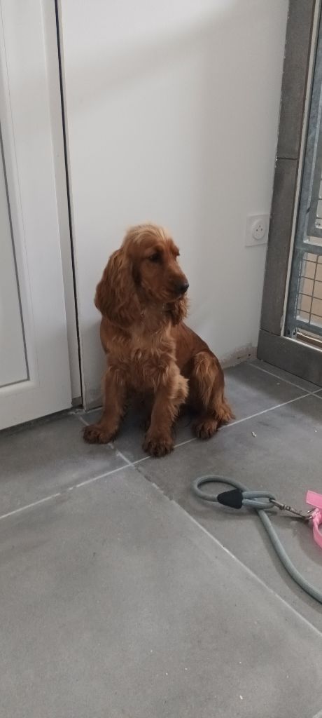 Publication : (Sans Affixe) 