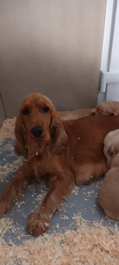 Publication : (Sans Affixe) 