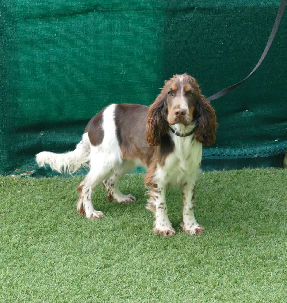 Publication : Du Temps Des Amazones Auteur : CLOE RIBOT