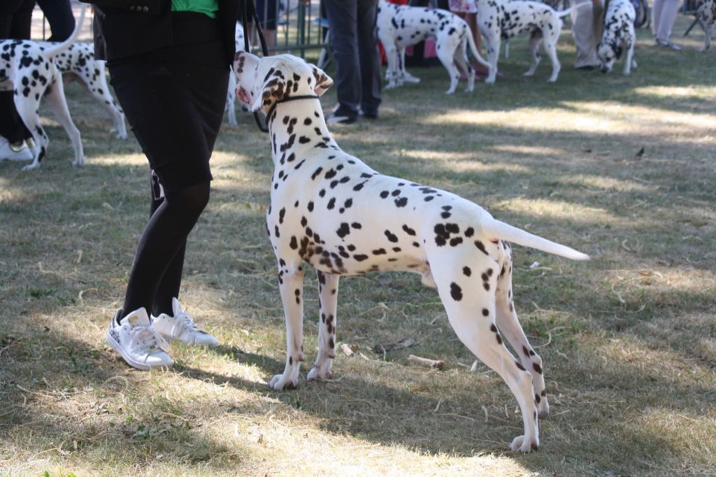 Publication : De la mare aux buis