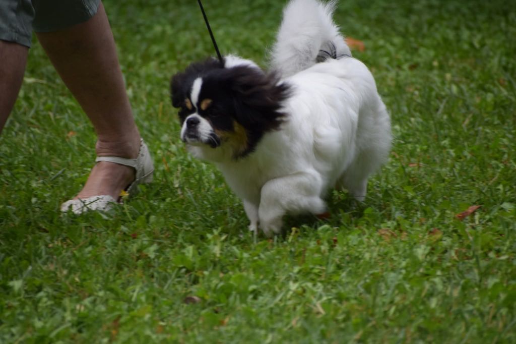 Publication : Du Berceau D'Ellora 