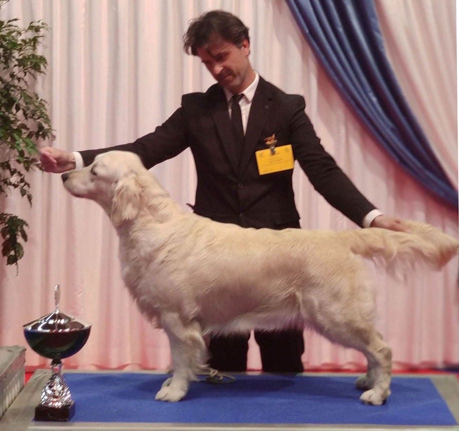 CH. jako's Legend to lar de casanova