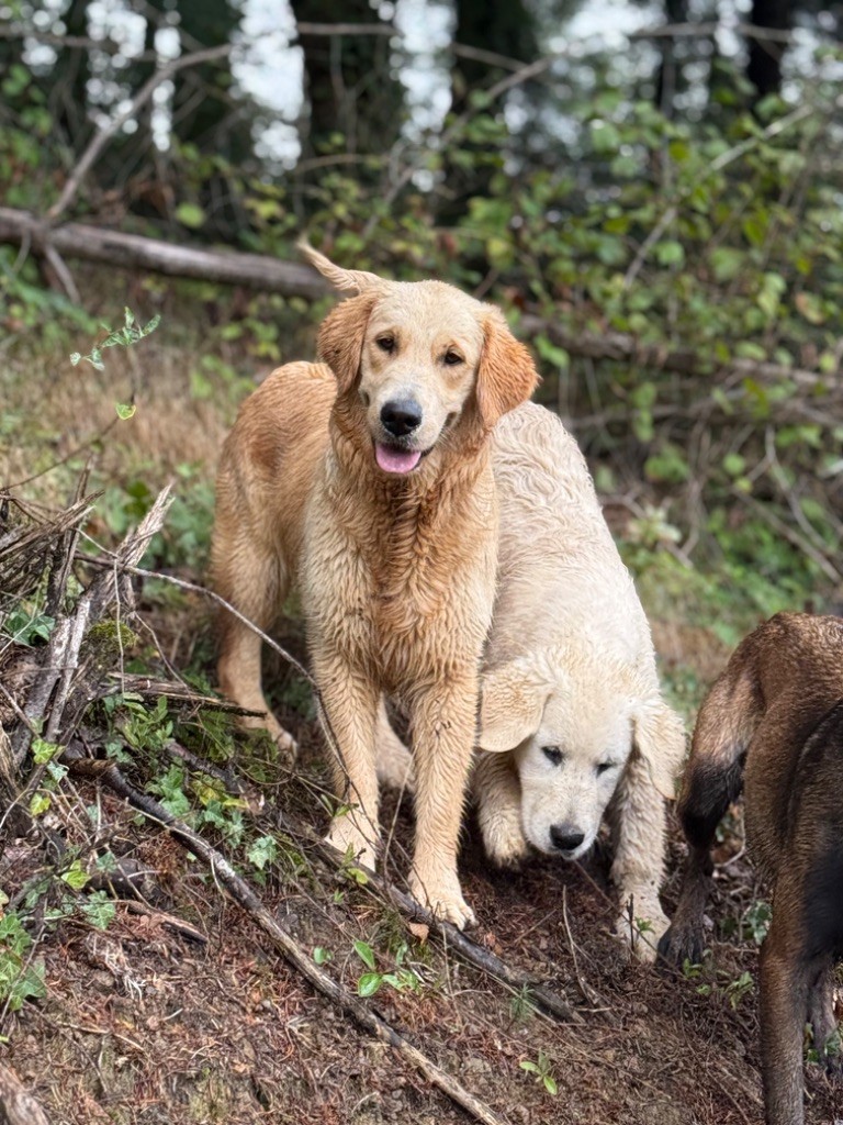 Publication : Des Terres d'Amara
