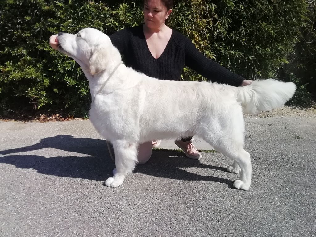 Publication : Rising True Love 