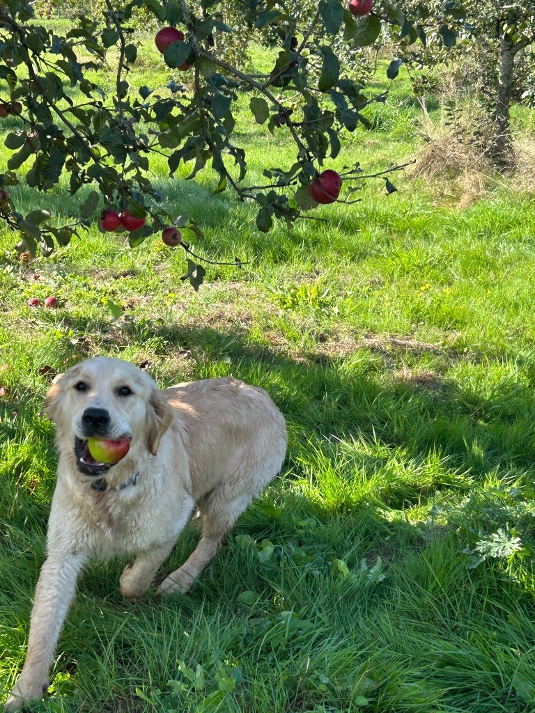 Publication : Des Champs D'Eypadero 