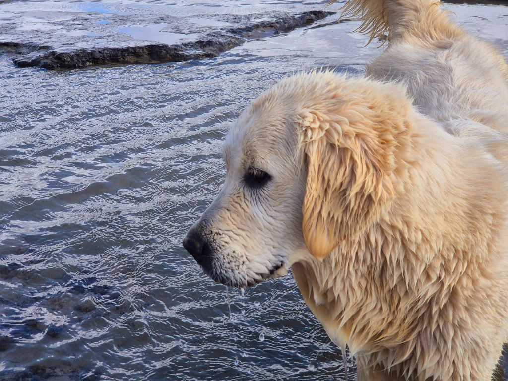 Publication : Wonder of Art