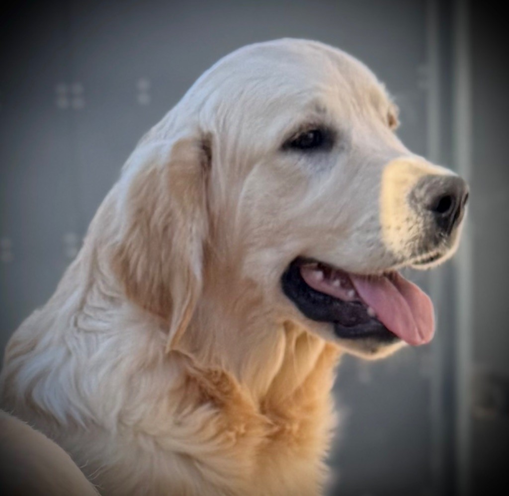 Publication : De La Douce Source Auteur : Valérie Louchez