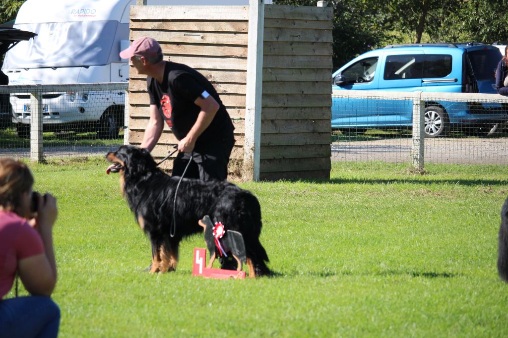 Reisen Des trois petits diables