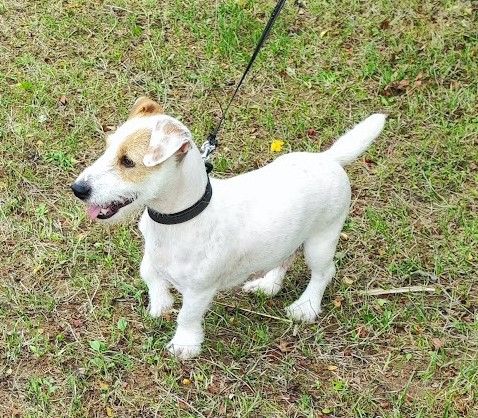 Publication : Du champ de l'ormeau Auteur : Marion Bertin