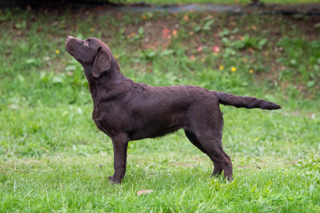 Publication : Hunting Friend