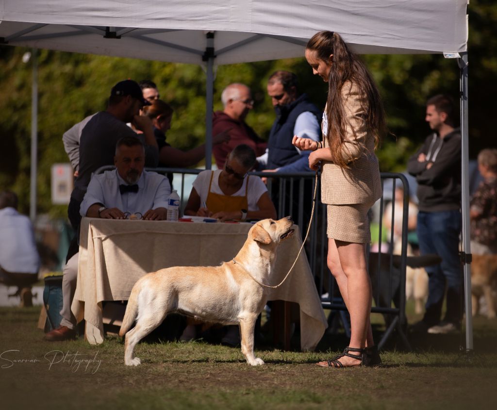 Publication : Des Collines D Armor Et D Argoat Auteur : Marie Straughan
