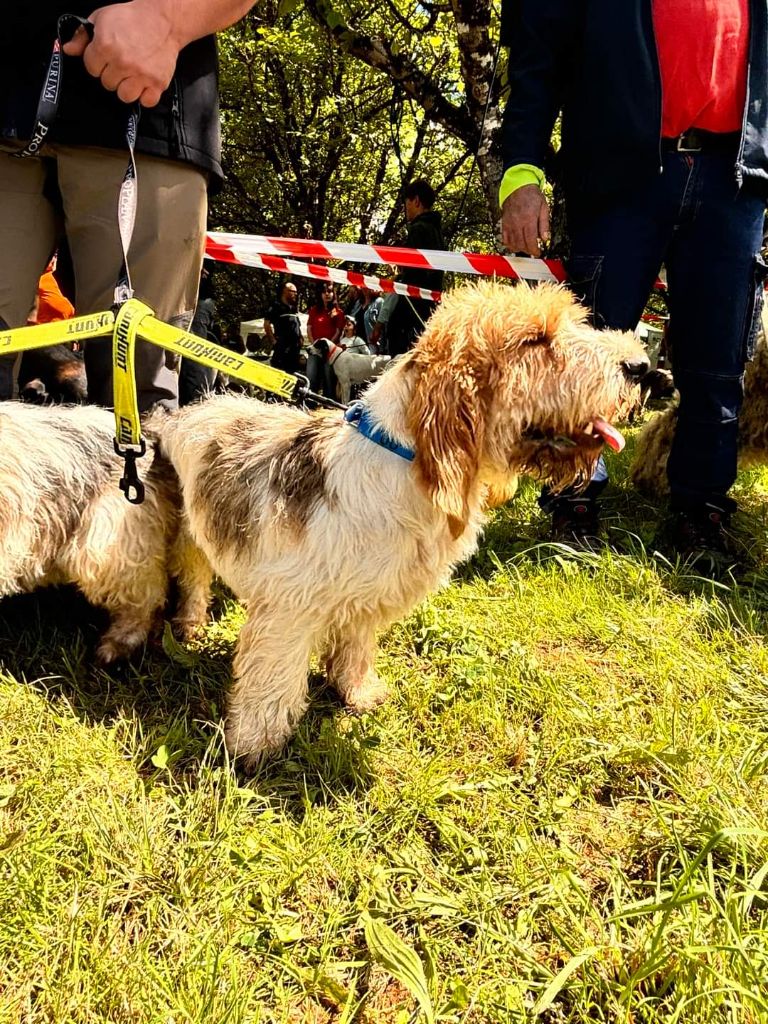 Publication : Des Gites De La Fombale 