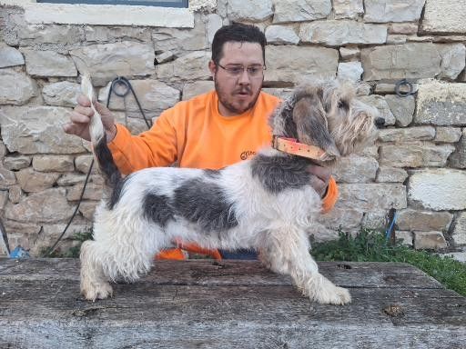 Publication : Des Gites De La Fombale 