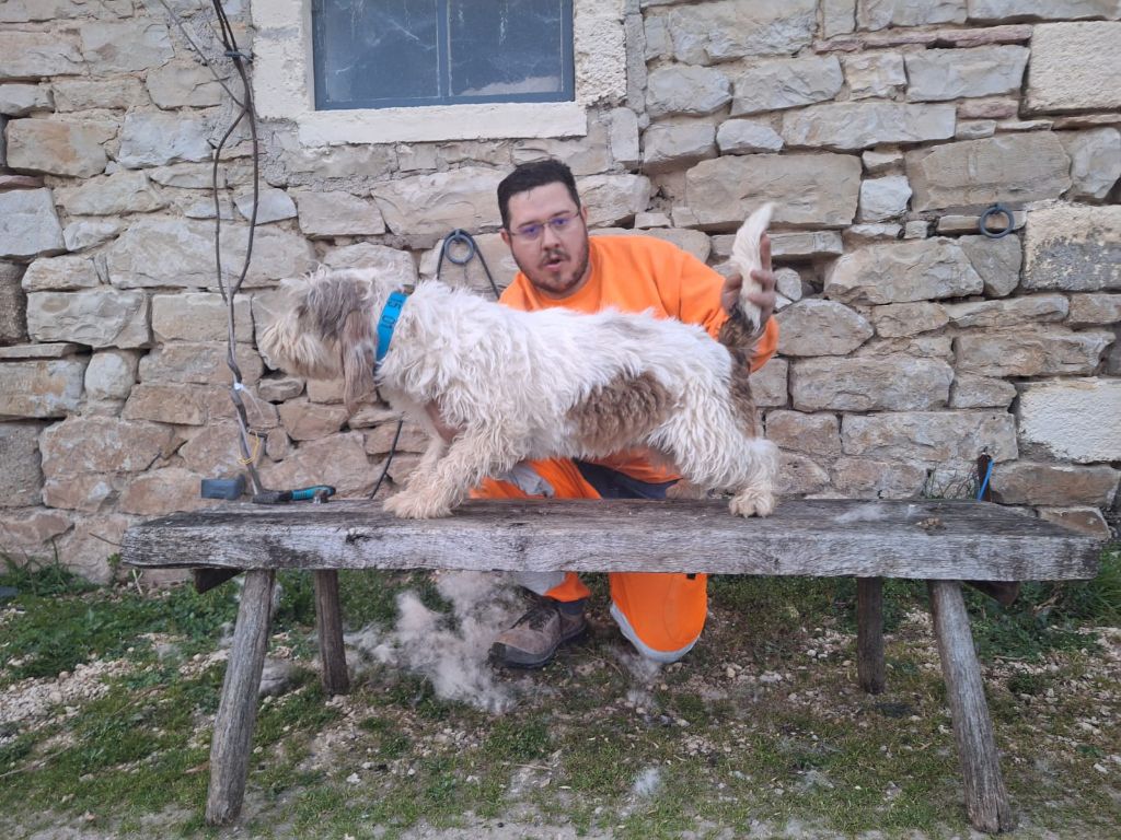 Publication : Des Gites De La Fombale 