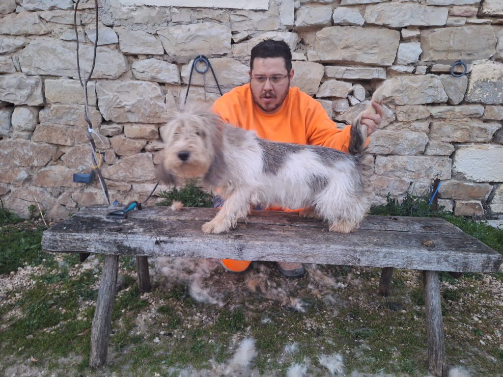 Publication : Des Gites De La Fombale 