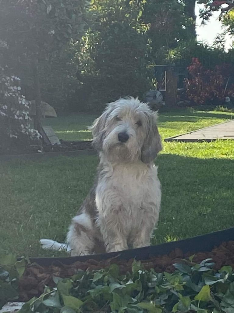 Publication : Des Gites De La Fombale 