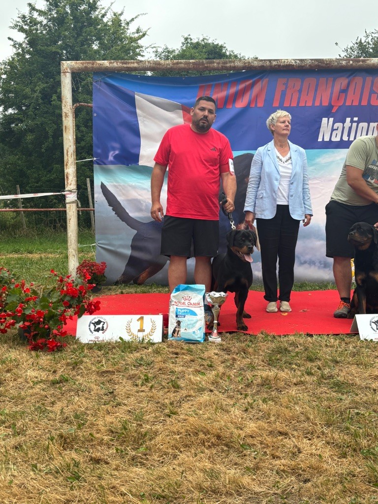 Publication : Von Hause Mysteria 