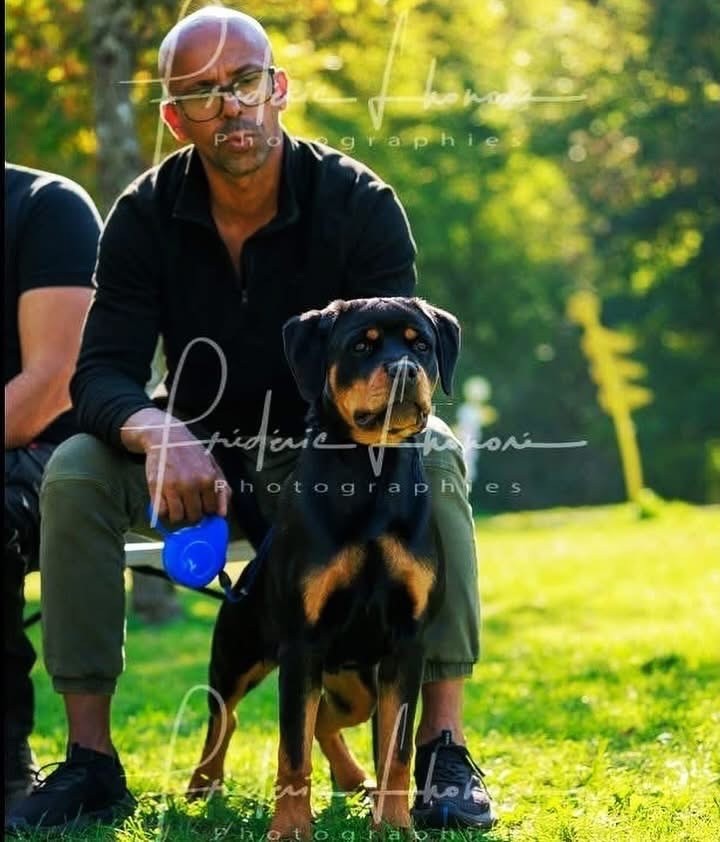 Publication : Von Der Vangfuller 