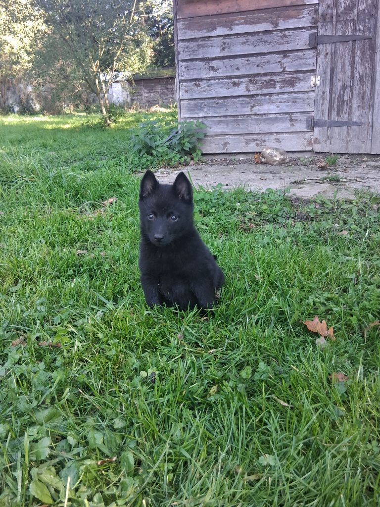 Publication : Des Regards Brulants