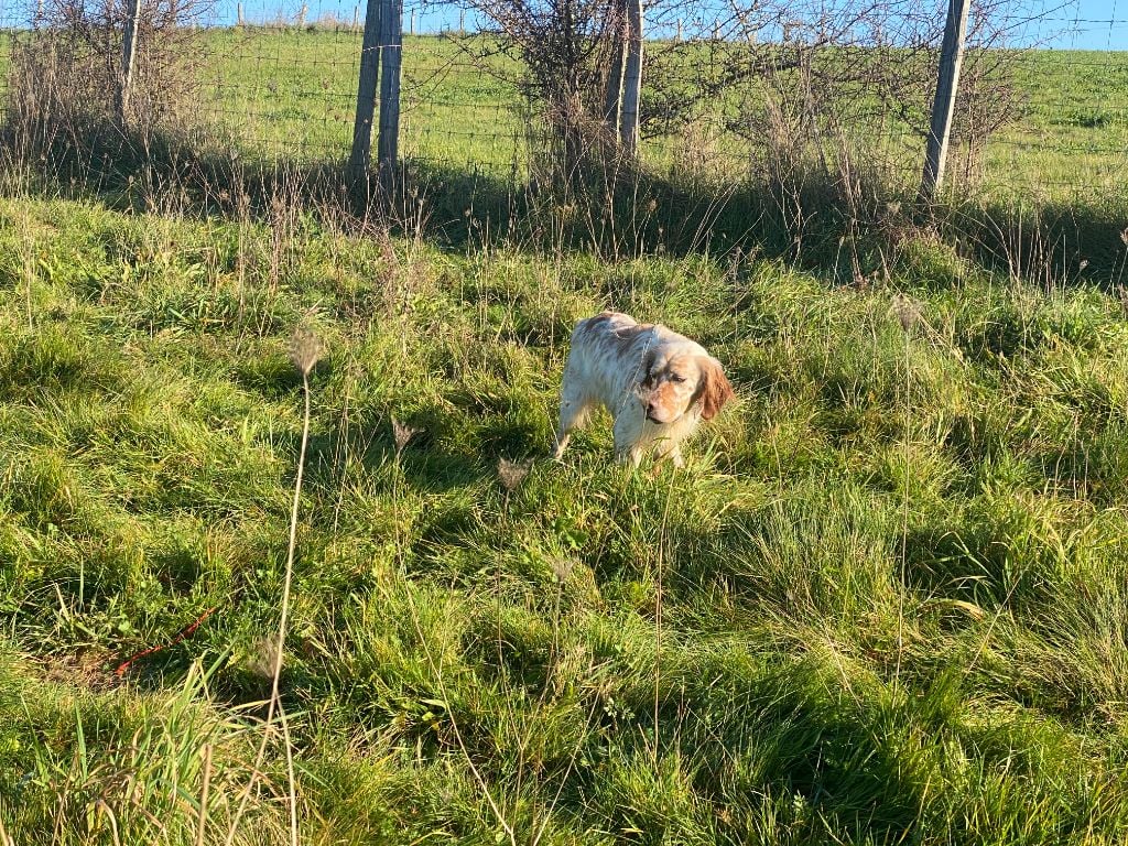 Publication : du Mas d'Eyraud