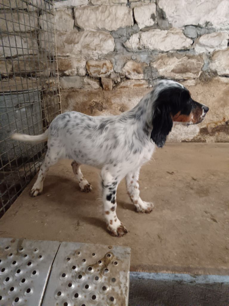 Publication : De La Vallée Du Pairon Auteur : JEAN-PAUL TOURAINE