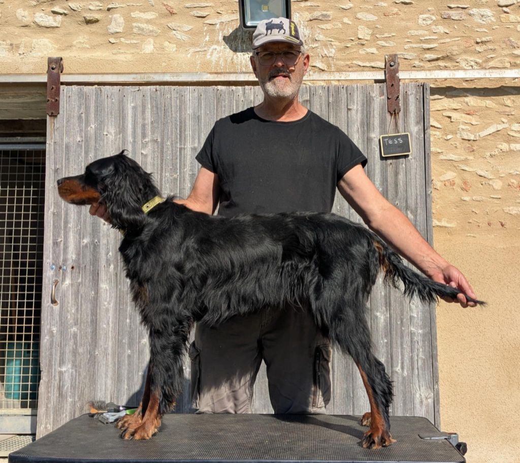 Publication : Du Vallon Des Bécasses Auteur : Serge Bennic