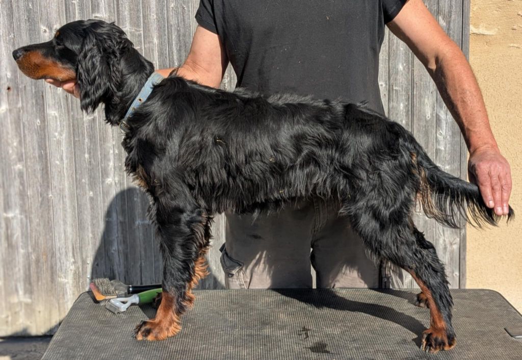 Publication : Du Vallon Des Bécasses Auteur : Serge Bennic