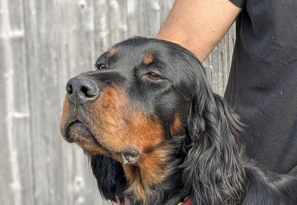 Publication : Du Vallon Des Bécasses Auteur : Serge Bennic