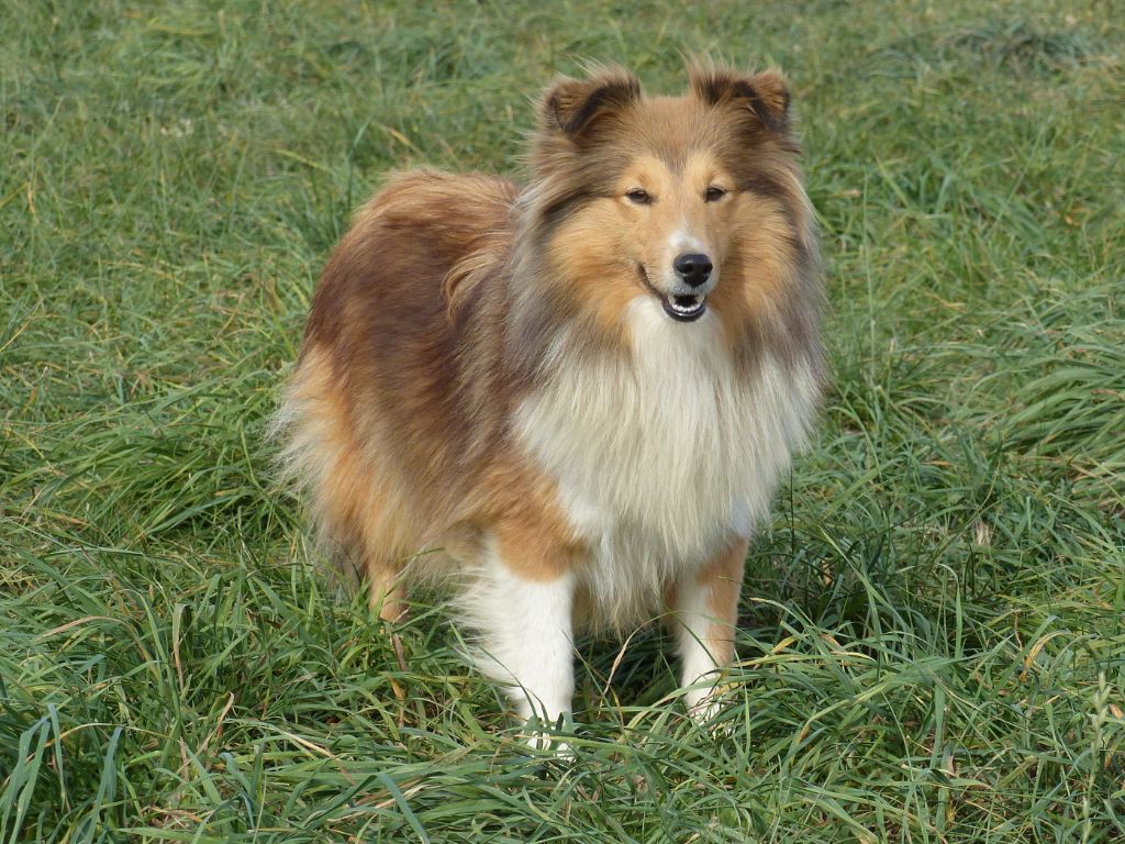 Publication : du Domaine de Boisceaux Auteur : jason vasseur