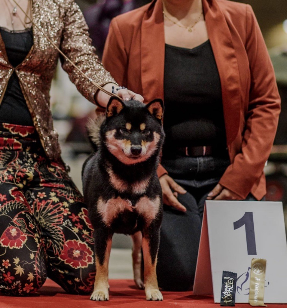 Publication : Domaine Des Sept Loups