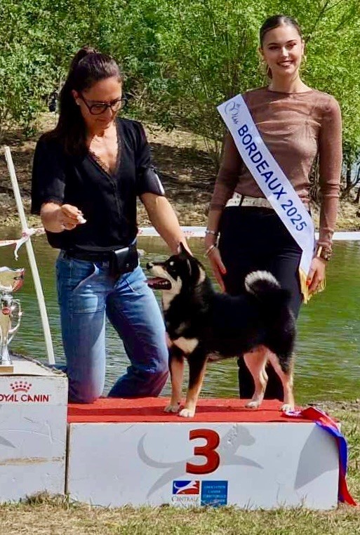 Publication : Hoxakam