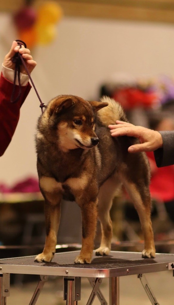 Publication : Kitsune No Tani Kensha 