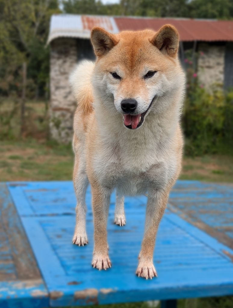 Publication : Des Landes D'Etten 